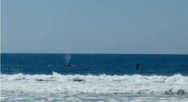 Camera Ao Vivo Praia Grande Ubatuba Waves Https G1 Globo Com Sp Sao Paulo Noticia 2018 09 09 Carcereiro E Preso Apos Facilitar Fuga De Sete Presos Na Zona Leste De Sp Ghtml 2018 09 09t23 53 56 758000 00 00 Https G1 Globo Com Rs Rio Grande Do Sul Noticia 2018 09 09 Colisao Entre Caminhao