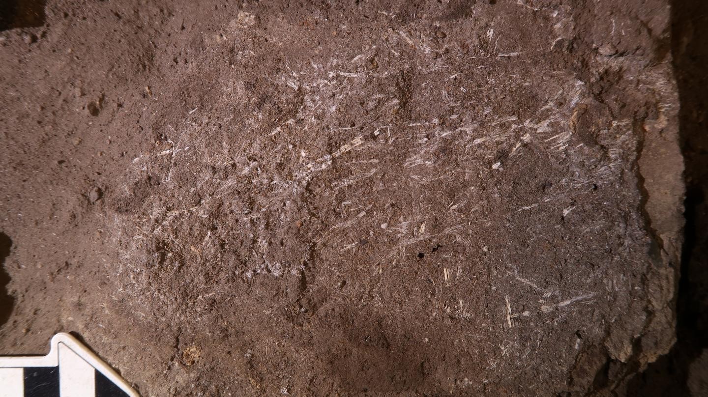 Há 200 mil anos, nossos antepassados dormiam em camas feitas de grama. Acima: restos fossilizados de grama onde ficava um dos leitos (Foto: Lyn Wadley/Wits University)