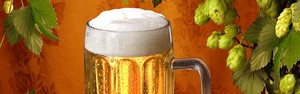 Lúpulo, o tempero da cerveja (Michaela Stejskalova/Shutterstock)