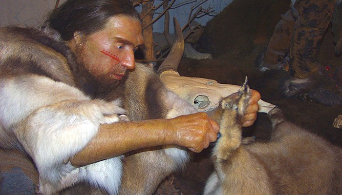 Representação moderna dos neandertais — que a maioria também usavam a mão direita (Foto: Wikimedia Commons)
