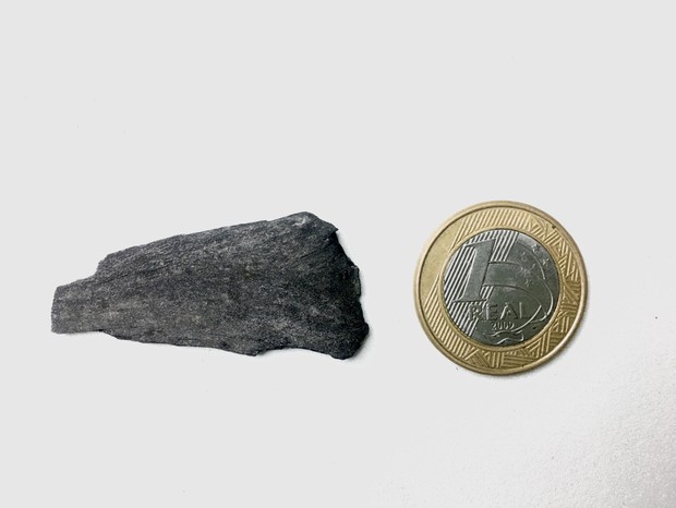 Comparativo entre a amostra fóssil coletada na Antártida e uma moeda de 1 real (Foto: Divulgação)