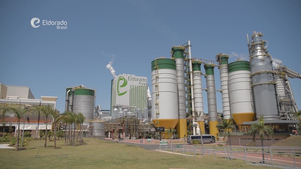 Unidade industrial da Eldorado Celulose e Papel, em Três Lagoas (MS) (Foto: Reprodução/YouTube)