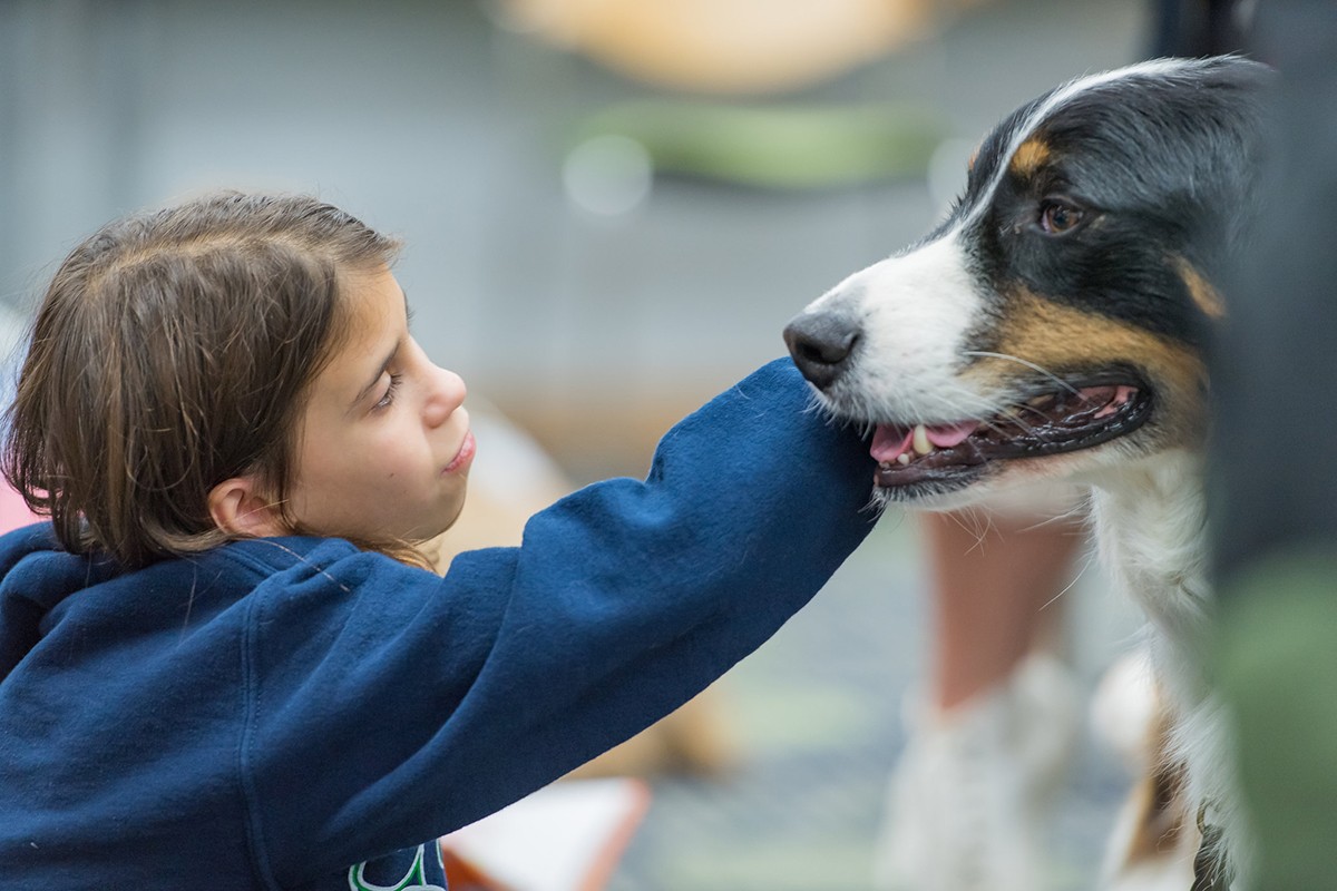 Para os autores da pesquisa, é importante incorporar os animais às equipes de saúde (Foto: Flickr/ Howard County Library System/ CreativeCommons)