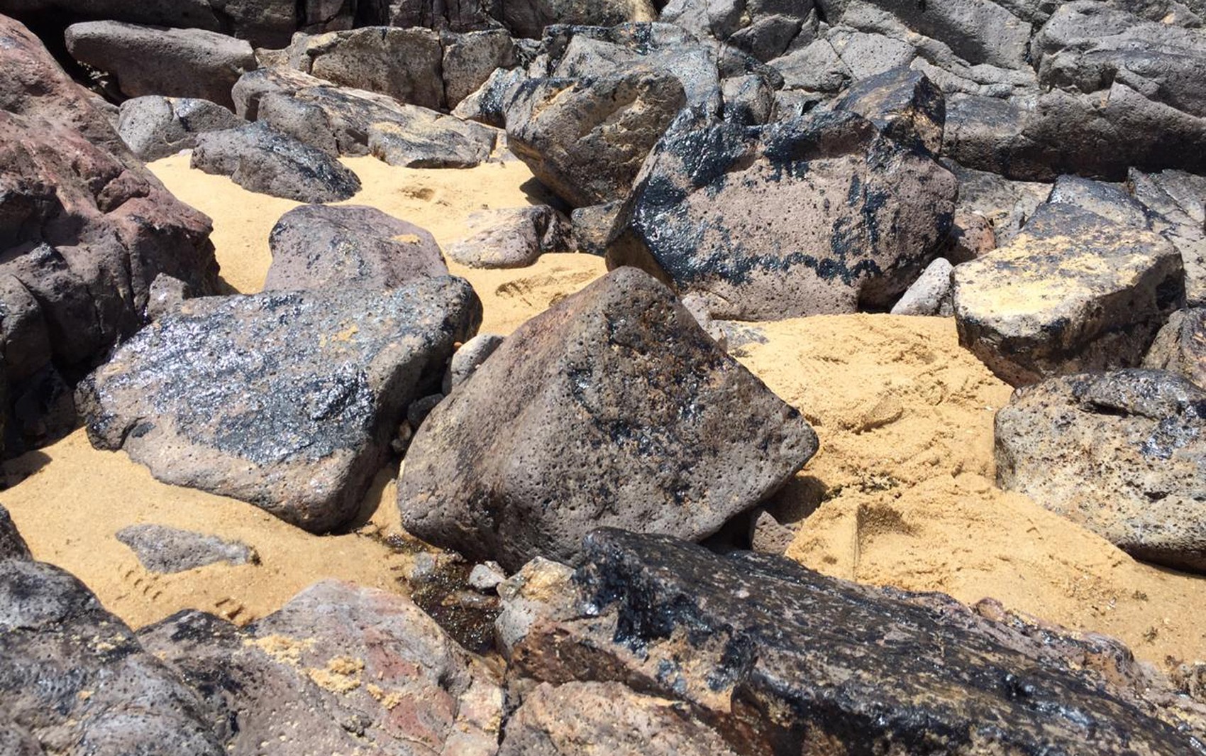 Cinco meses após primeira aparição, fragmentos de óleo ainda são encontrados em praias de Pernambuco thumbnail