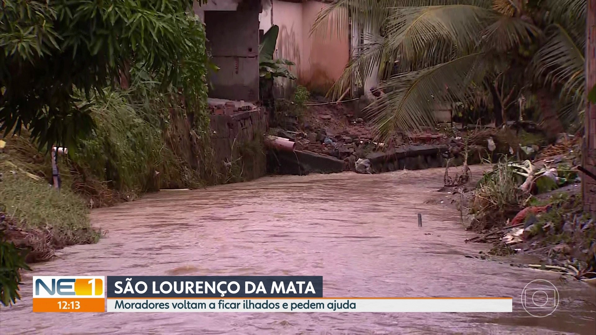 VÍDEOS: NE1 de quinta-feira, 24 de março de 2022