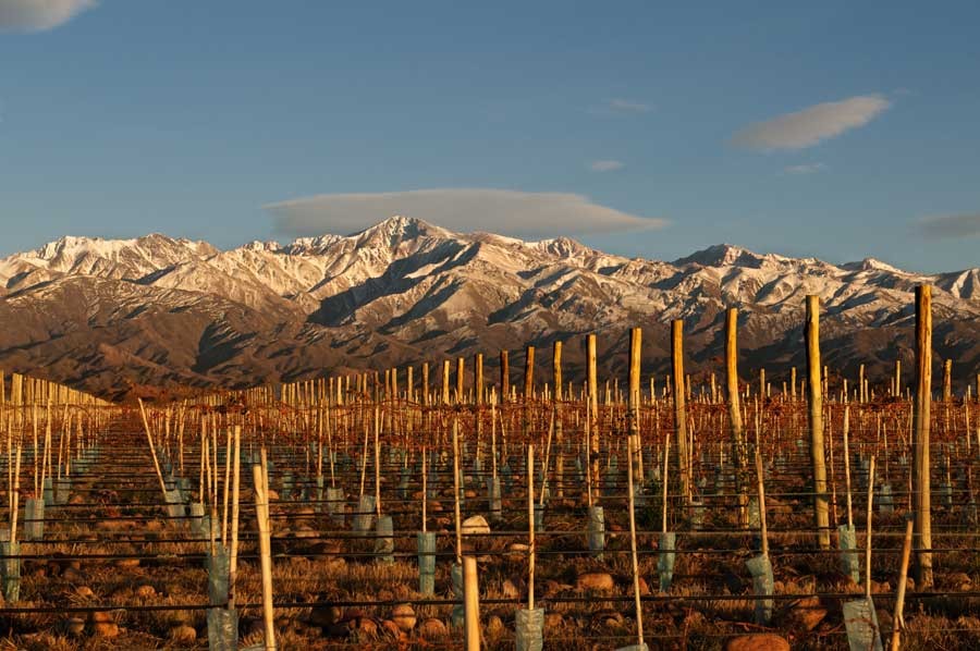 Amantes de vinho podem ter sua própria vinícola na Argentina ...