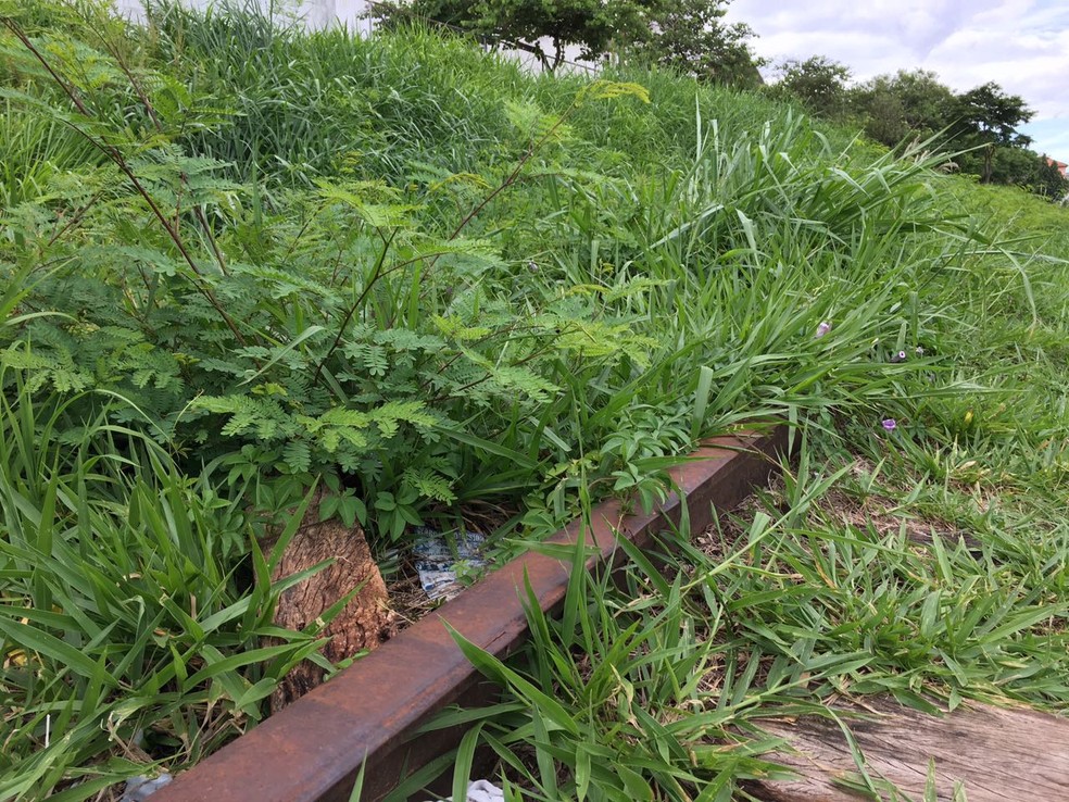 Ferrovia est&aacute; abandonada em Presidente Prudente (Foto: Wellington Roberto/G1)