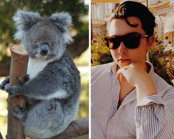 O empresário e ex-astro de reality show Ryan-Mark Parsons sugeriu a venda de peles de coalas mortos para angariar fundos para os coalas feridos nos incêndios na Austrália (Foto: Getty Images/Instagram)