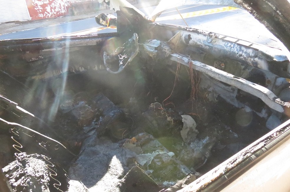 Incêndio atingiu picape e árvore em avenida de Dracena — Foto: Jorge Zanoni/Cedida