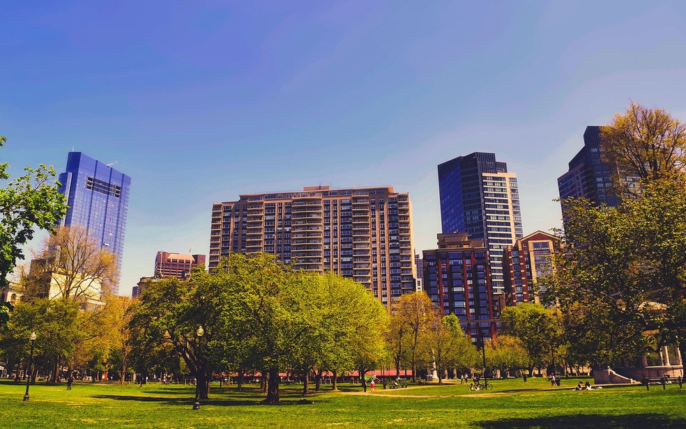 Estudo mostra que crescimento das árvores é mais acelerado em áreas urbanas (Foto: 12019/Creative Commons)