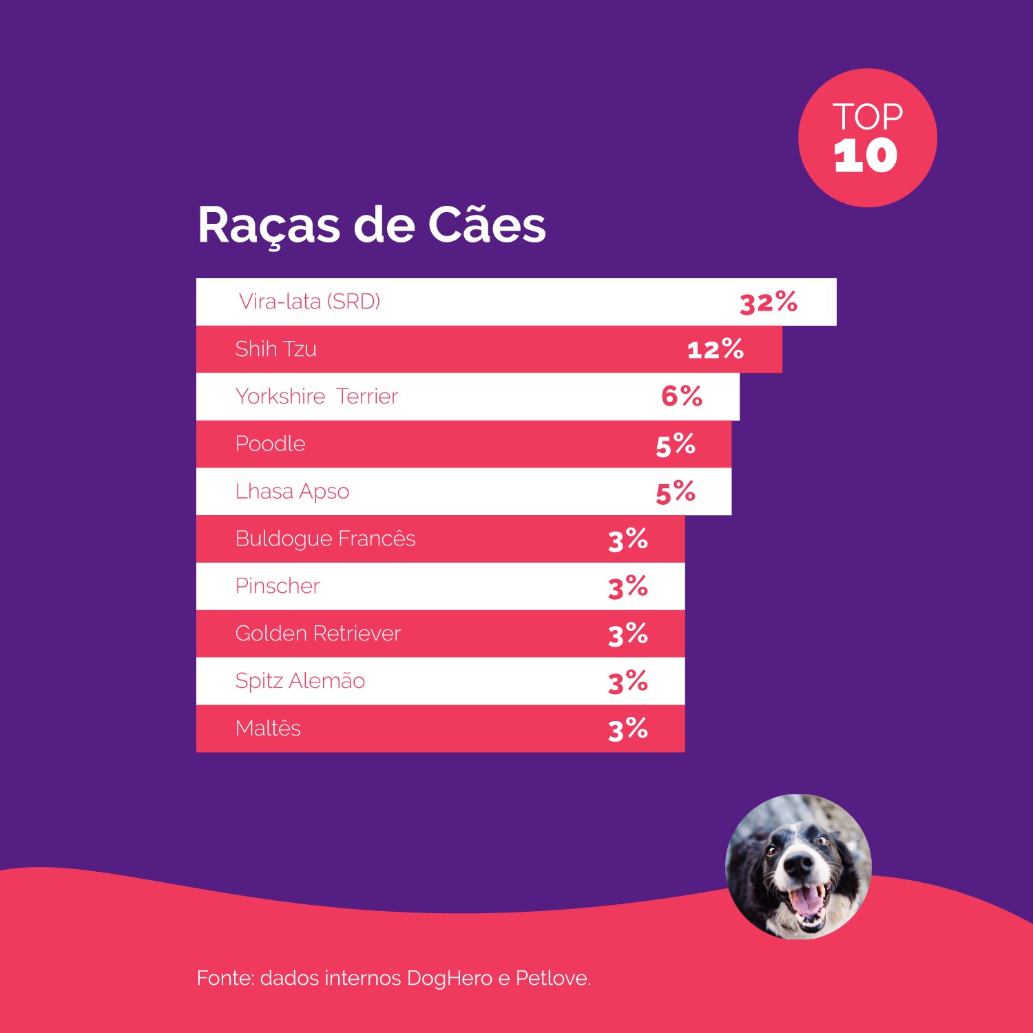 Confira a lista dos nomes mais populares de cães e gatos em 2021