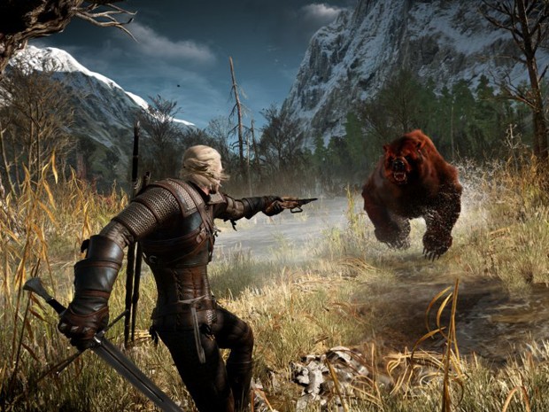 The Witcher Wild Hunt Video Game Sony PS4