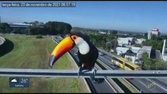 Assista à íntegra do EPTV 2 desta terça-feira (23)