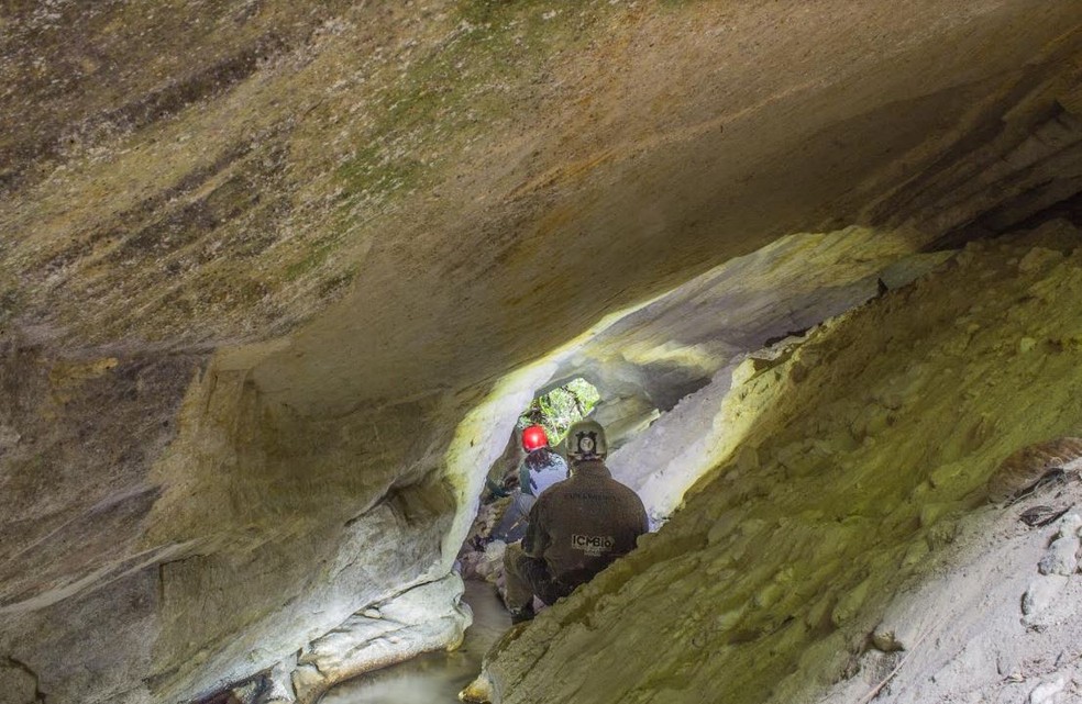 Toca da Onça é uma das cavernas achadas no Parque Nacional da Serra do Divisor  — Foto: Mauro Gomes/ICMBio