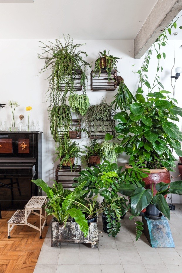 Como escolher plantas para ambientes fechados – Blog Metal Land