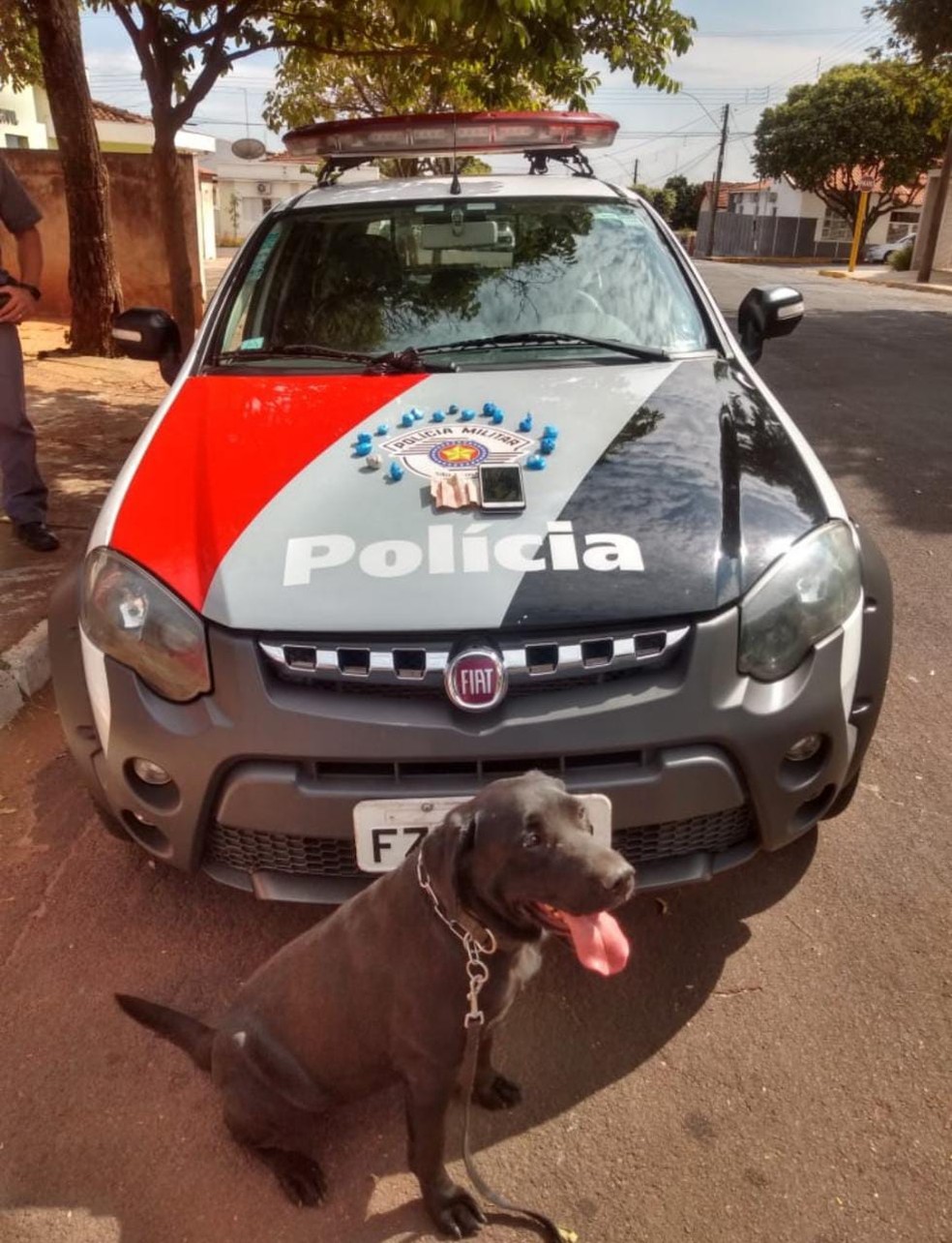 Porções de maconha foram farejadas pela cadela Emy — Foto: Polícia Militar