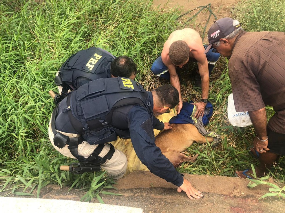 Theo foi encontrado com ferimentos graves � margem da BR-230, na Grande Jo�o Pessoa � Foto: PRF/Divulga��o
