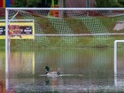 Pato é flagrado nadando em campo de futebol alagado na Alemanha