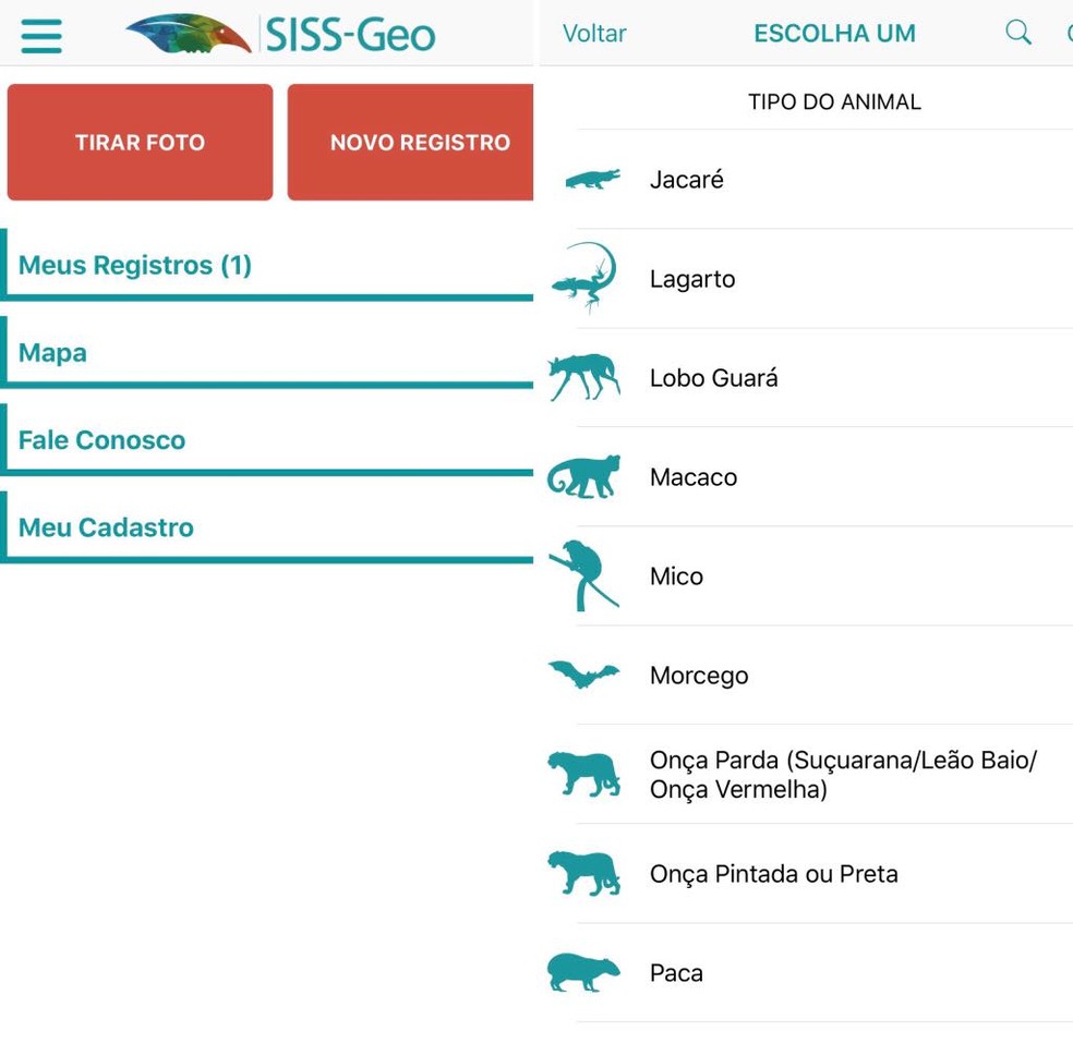 Aplicativo desenvolvido pela Fiocruz ajuda a monitorar a saúde de animais silvestres (Foto: Reprodução/Aplicativo SISS-Geo)