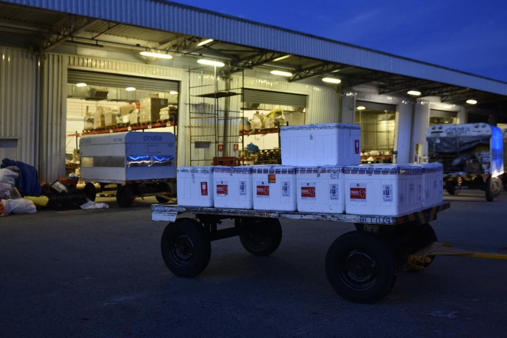 Vacinas foram recebidas no Aeroporto de Natal neste sábado (1) — Foto: Elisa Elsie