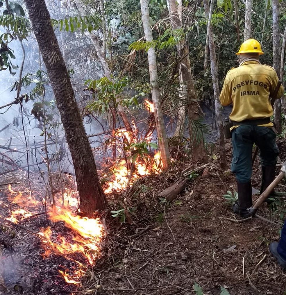 Operação Verde Brasil chegou ao 13º dia neste sábado (7).  — Foto: Exército Brasileiro/Divulgação