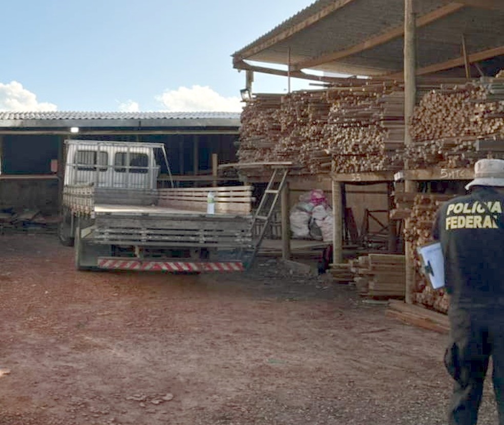 PF cumpre mandados no RN, PA e PB em operação de combate à venda e transporte ilegal de madeiras da Amazônia — Foto: Polícia Federal/Divulgação
