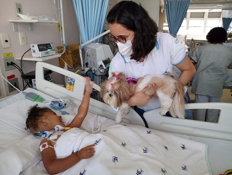 O projeto Amigos para Cachorro leva bichinhos de estimação para visitas à ala de internação pediátrica do Hospital das Clínicas da UFMG  (Foto: Reprodução/Instagram)