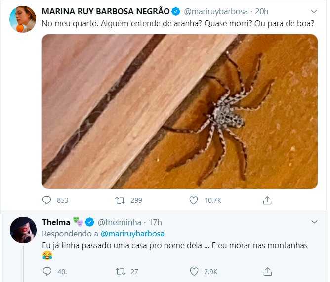 Marina Ruy Barbosa mostra a aranha que apareceu em seu quarto; Thelma Assis se apavora (Foto: Reprodução/Twitter)