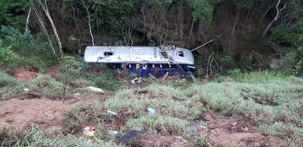 Acidente aconteceu na BR-381, na Região Central de Minas Gerais — Foto: Júlio César Santos/TV Globo