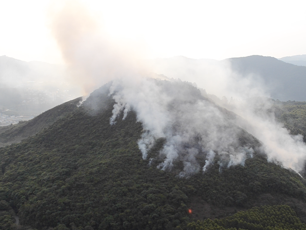 Incêndio atingiu ao menos 15 hectares da Serra de São Domingos, em Poços de Caldas (Foto: TV Plan)