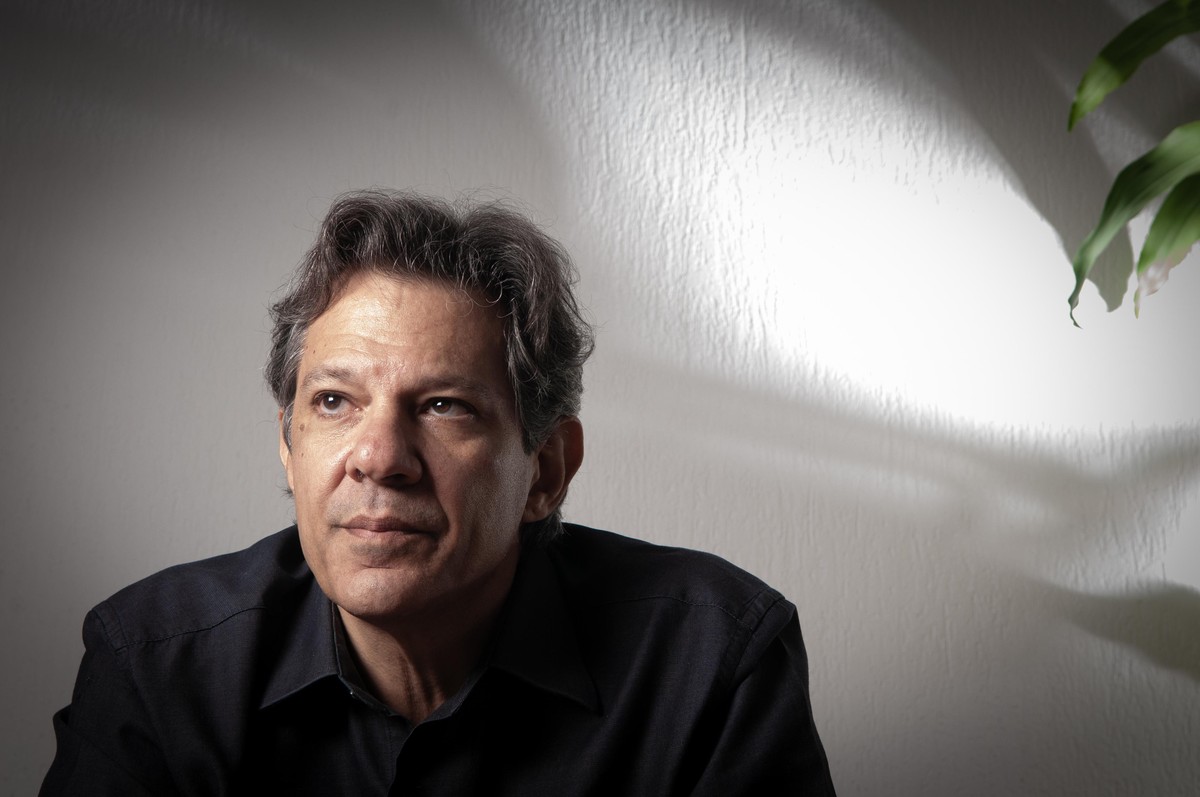Quem é Fernando Haddad, ministro da Fazenda do governo Lula, e qual a ...