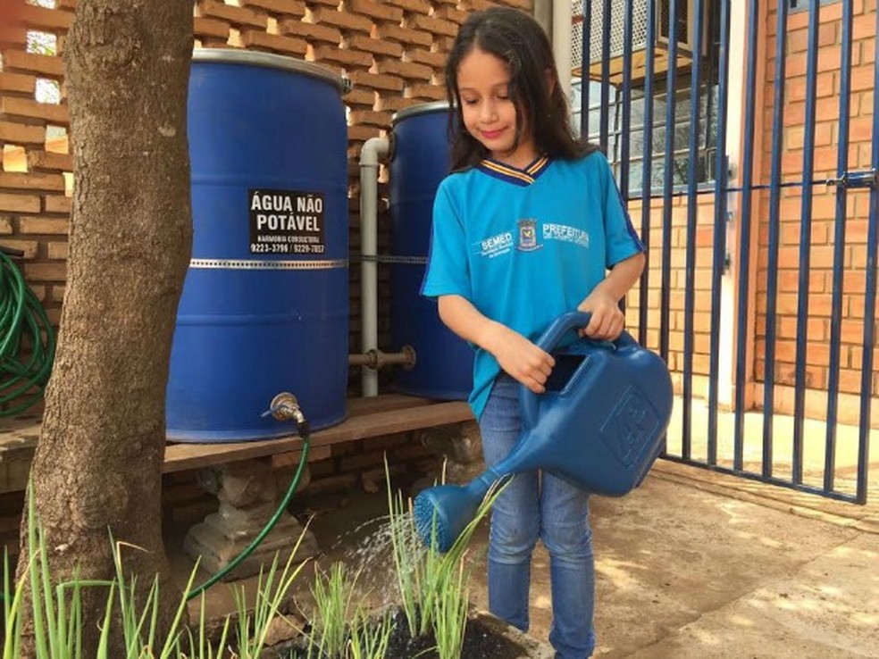 Horta tem captação de água da chuva como forma de economia sustentável (Foto: Graziela Rezende/G1 MS)