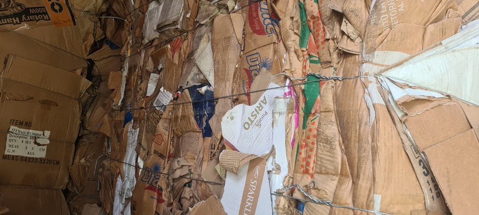 Três contêineres com lixo internacional são encontrados por Ibama e Receita Federal no Porto de Santos, SP — Foto: Reprodução/Ibama