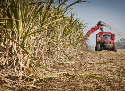 agricultura_cana_maquina (Foto: Guilber Hidaka/Ed. Globo)