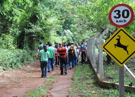 Mata Santa Genebra abre inscrições para visitas gratuitas em Campinas