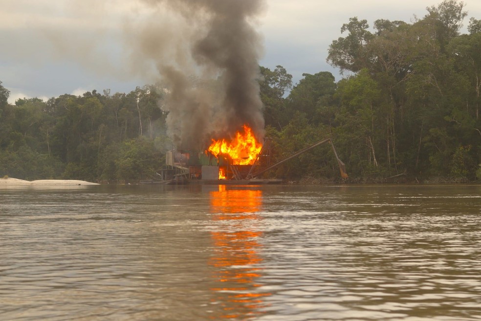 Operação Tucandeira realizada pela PF no Vale do Javari.  — Foto: Divulgação PF