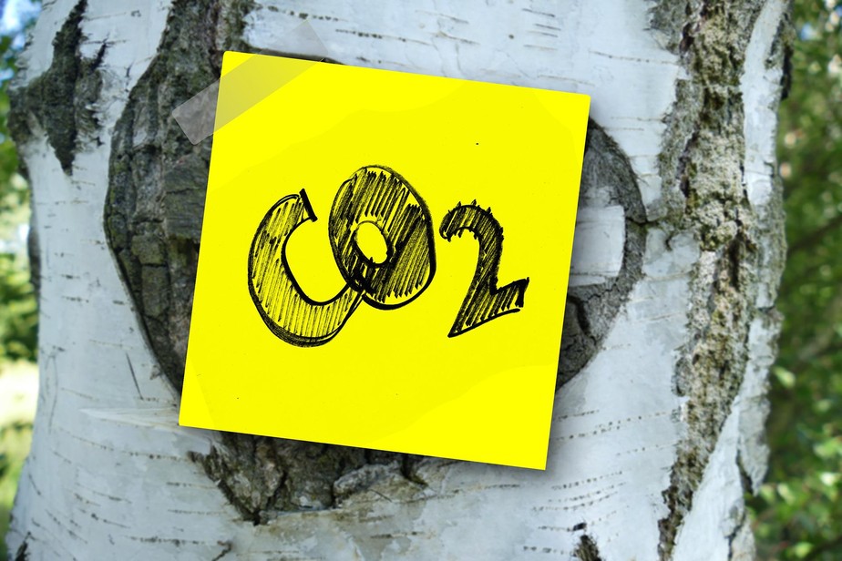carbono; CO2