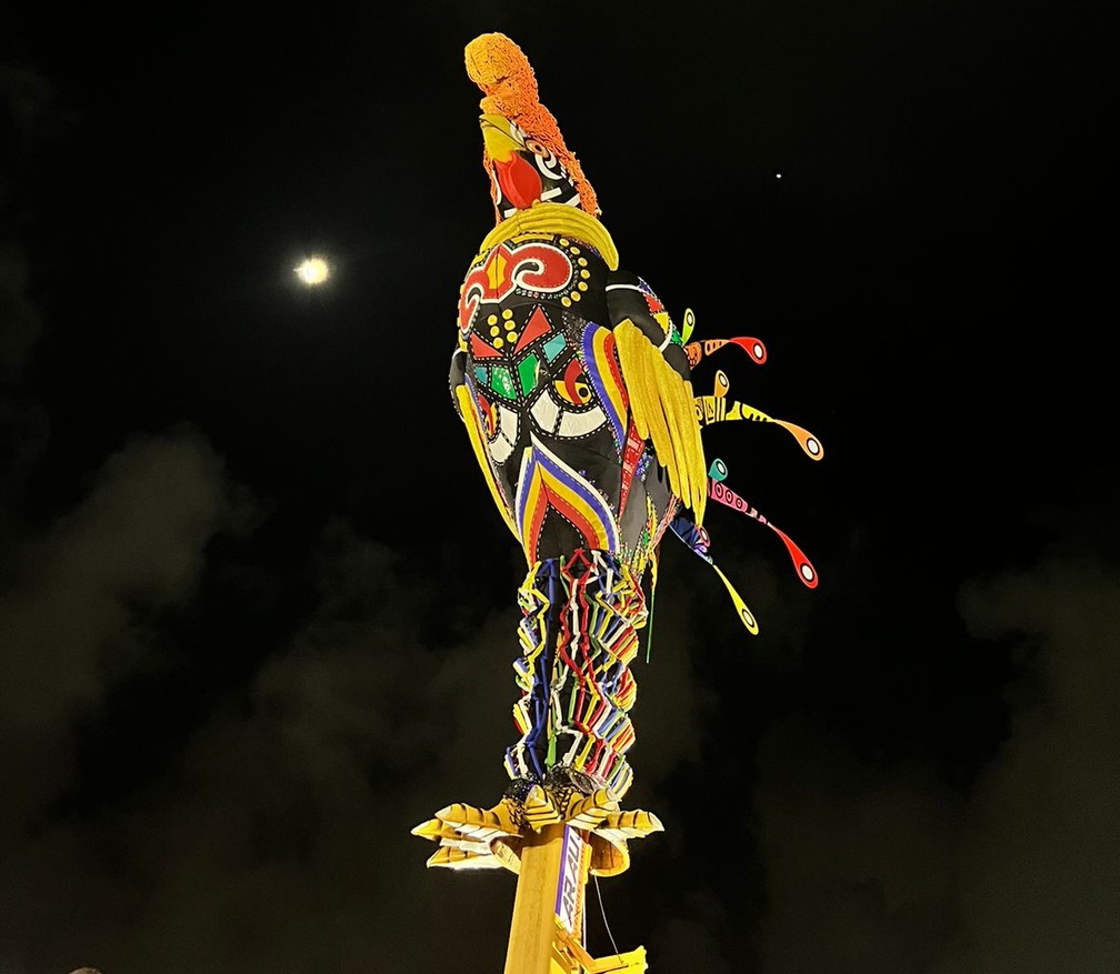 Símbolo do carnaval pernambucano, Galo gigante é erguido no Recife — Foto: Kamila Nunes/g1