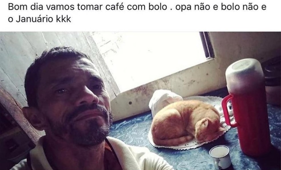 Gato Januário, famoso pelo meme 'opa não é bolo', morre no Ceará | Ceará |  G1
