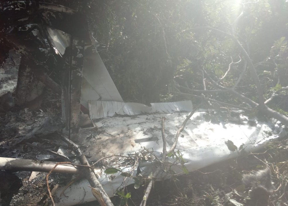 Testemunhas relataram que antes da queda viram o avião descendo e soltando fumaça. — Foto: Corpo de Bombeiros