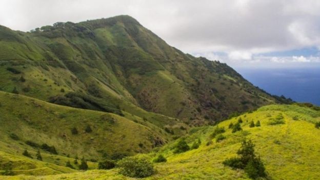 BBC - A Montanha Verde é um ecossistema criado pelo homem, onde espécies introduzidas e plantas nativas evoluíram juntas (Foto: DIANE SELKIRK/BBC)