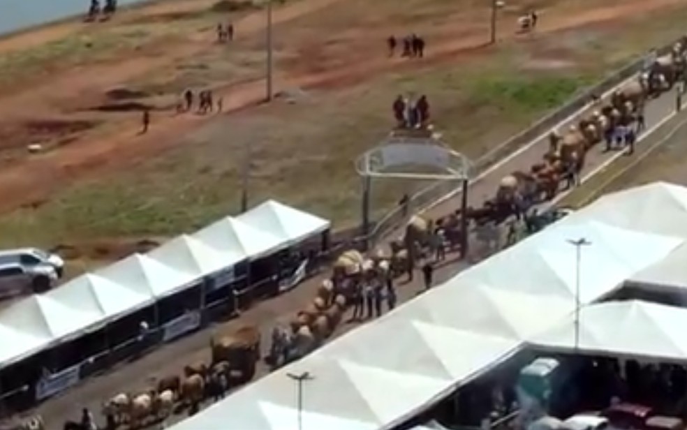 Patrimônio Cultural Brasileiro, Romaria de Carros de Boi volta a ser realizada durante a Festa do Divino Pai Eterno em Trindade