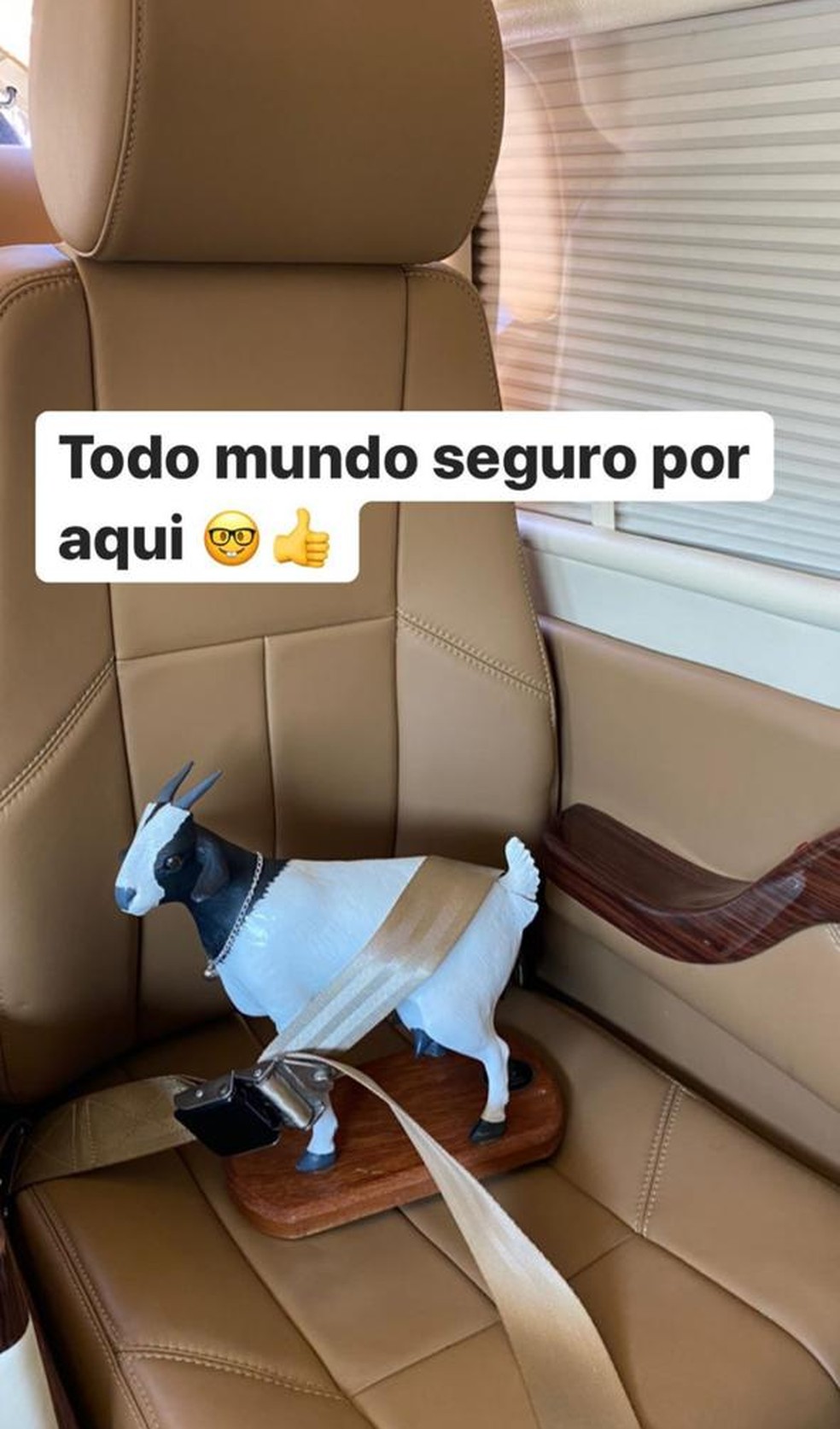 Maiara Maraisa Viajam De Jatinho E Levam Cabritinha De Brinquedo Famosos Gshow E justo naquele dia, a cabritinha deu cria. maiara maraisa viajam de jatinho e