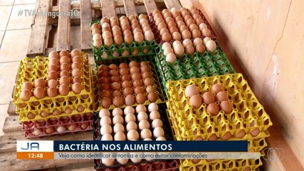 Bactéria nos alimentos: veja como identificar sintomas e evitar contaminações