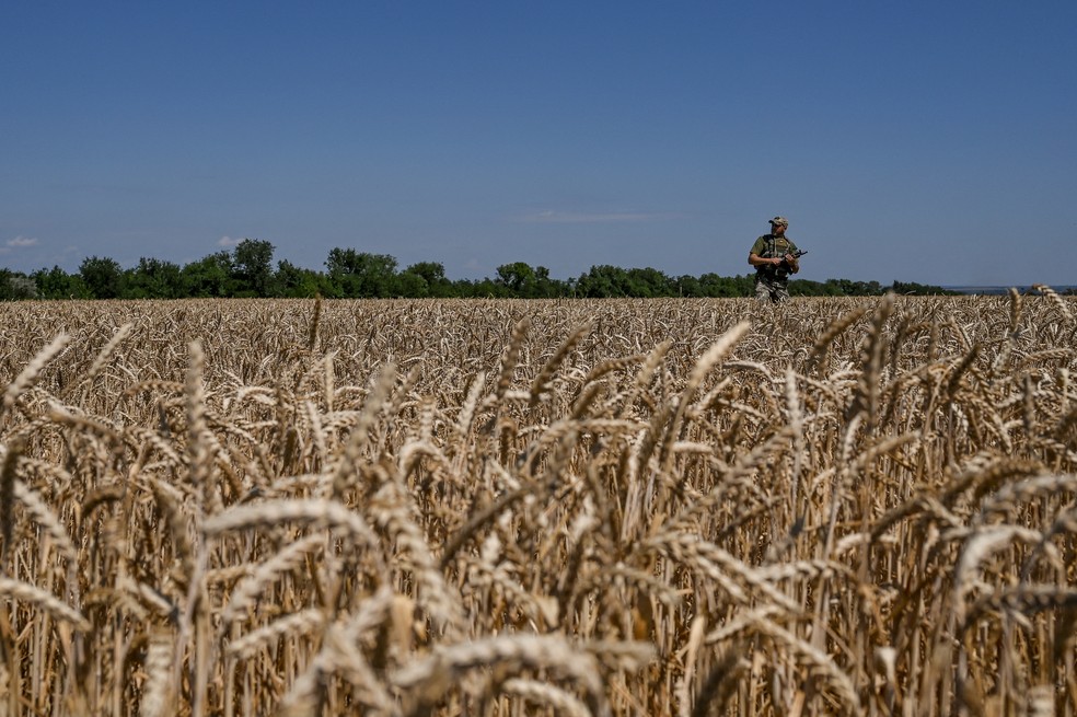 Militar ucraniano vigia campo de trigo na região de Dnipro, no sudeste do país, em 17 de julho de 2022.  — Foto: Dmytro Smolienko/ Reuters