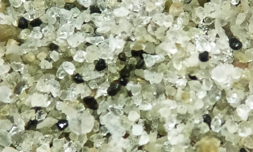 Amostra da areia de Santos ao microscópio: sedimentação sofre com a presença do microplástico (Foto: Reprodução/Unifesp)