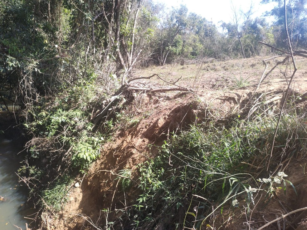 Vegetação nativa à beira de curso d'água foi destruída — Foto: Polícia Ambiental