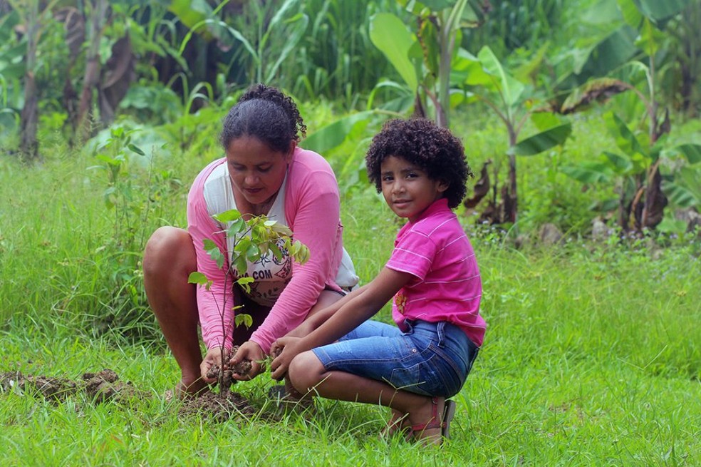 Famílias participam de refloresamento e podem tirar renda da venda de frutas — Foto: Divulgação/SOS Amazônia/Arquivo