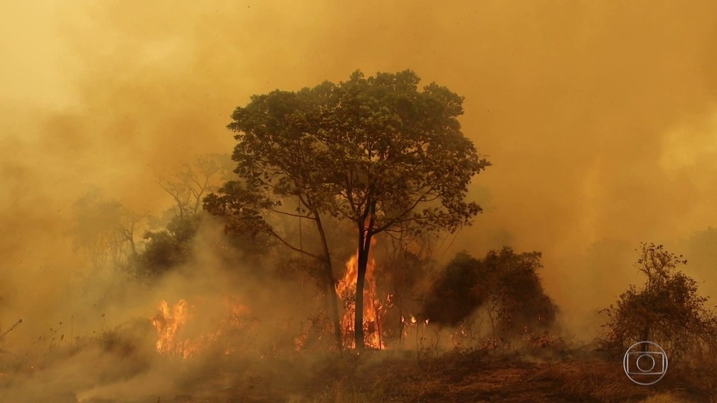 Incêndio no Pantanal — Foto: JN