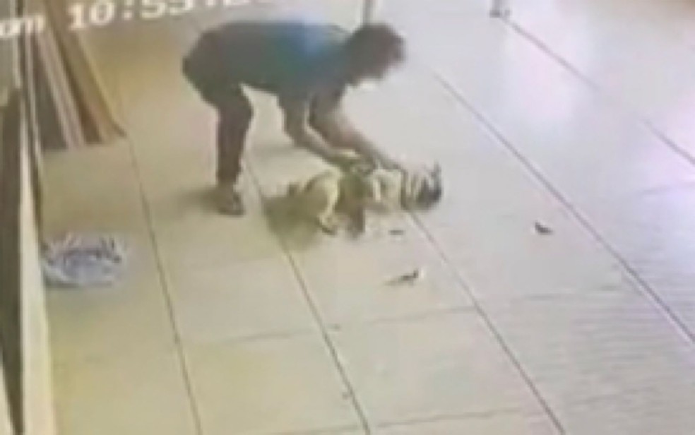 Homem é preso suspeito de pular muro e espancar cachorro do vizinho por causa de latidos